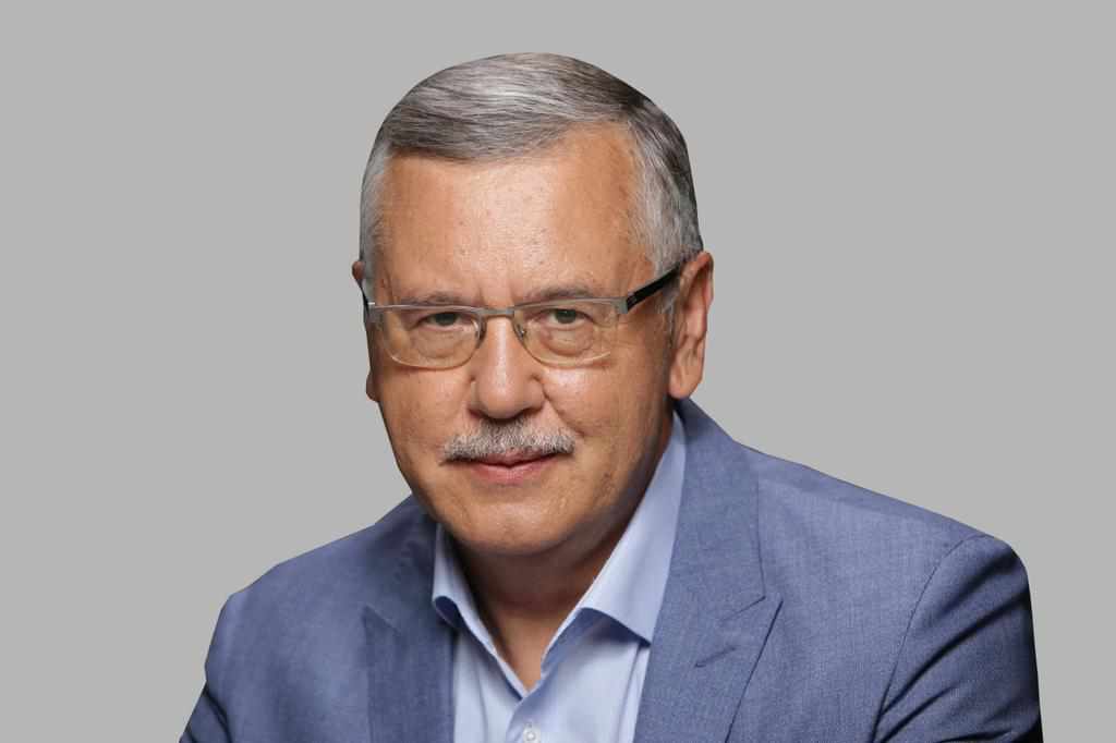  «Чесні у владі – сильна держава». Гриценко – про плани на 2019-й  