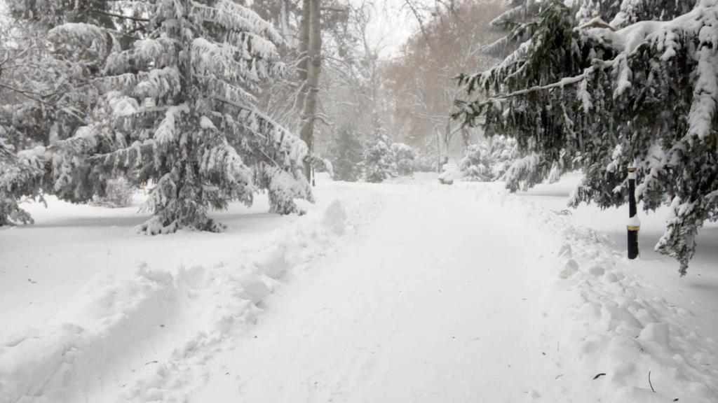 Негода на Полтавщині: синоптики прогнозують ожеледицю