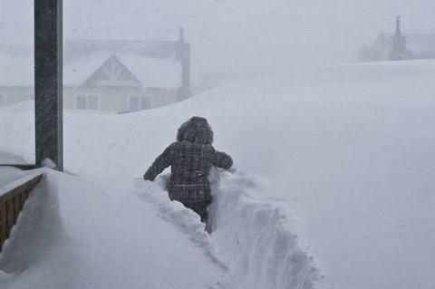 Діти Полтавщини йдуть на канікули через снігопади