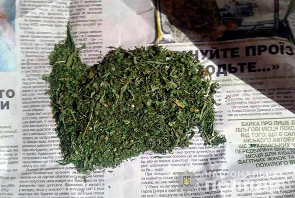 На Полтавщині зафіксували три факти зберігання наркотичних засобів