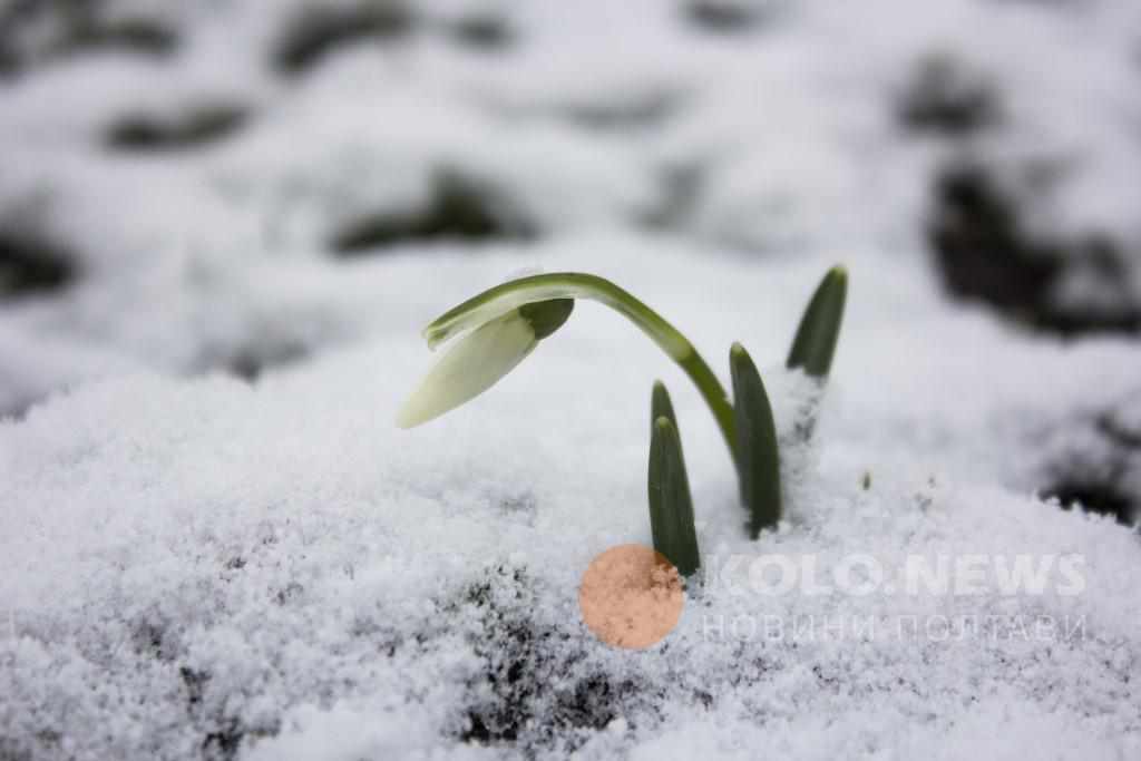 Що заплановано у Полтаві в перші вихідні весни 2 - 3 березня