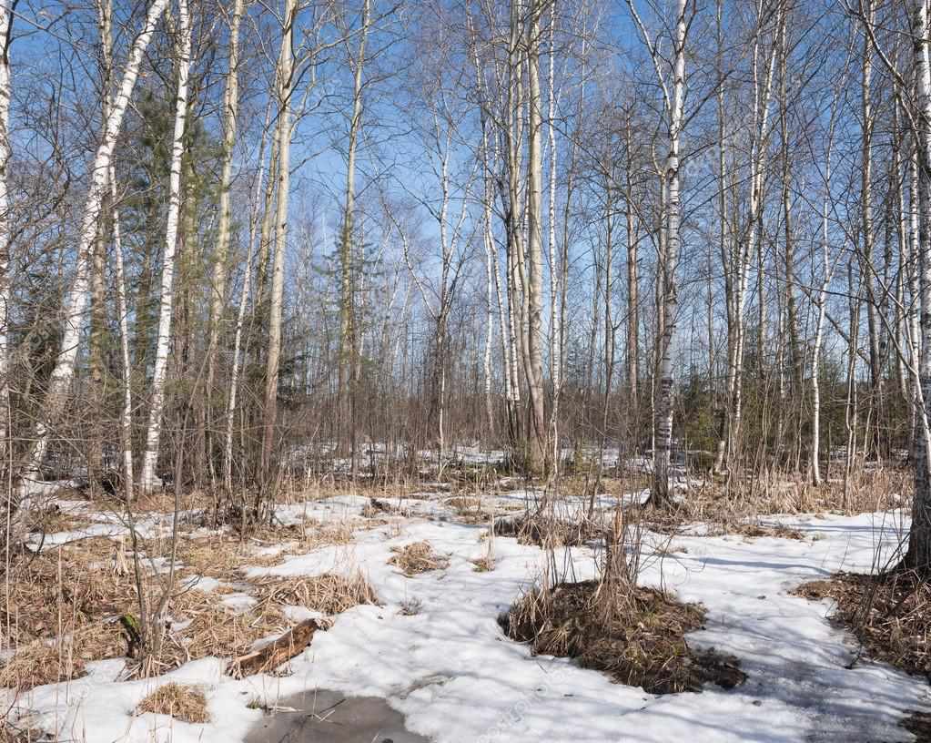 У Решетилівському районі жінка заблукала в лісі