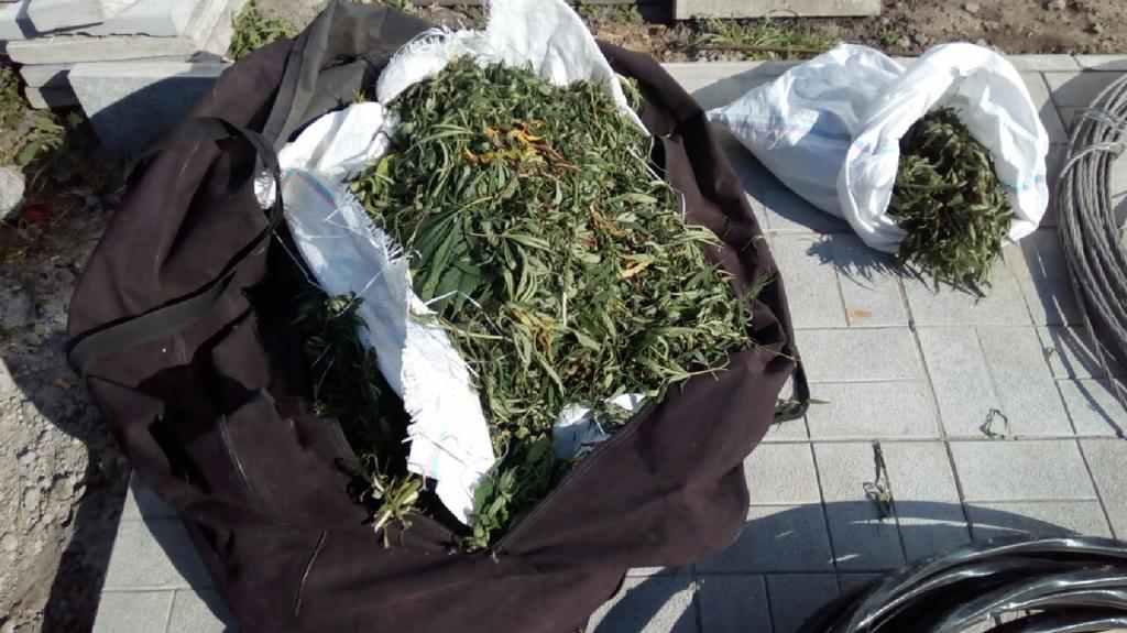 На Полтавщині організованій групі, яка виготовляла та продавала наркотики, оголосили про підозру