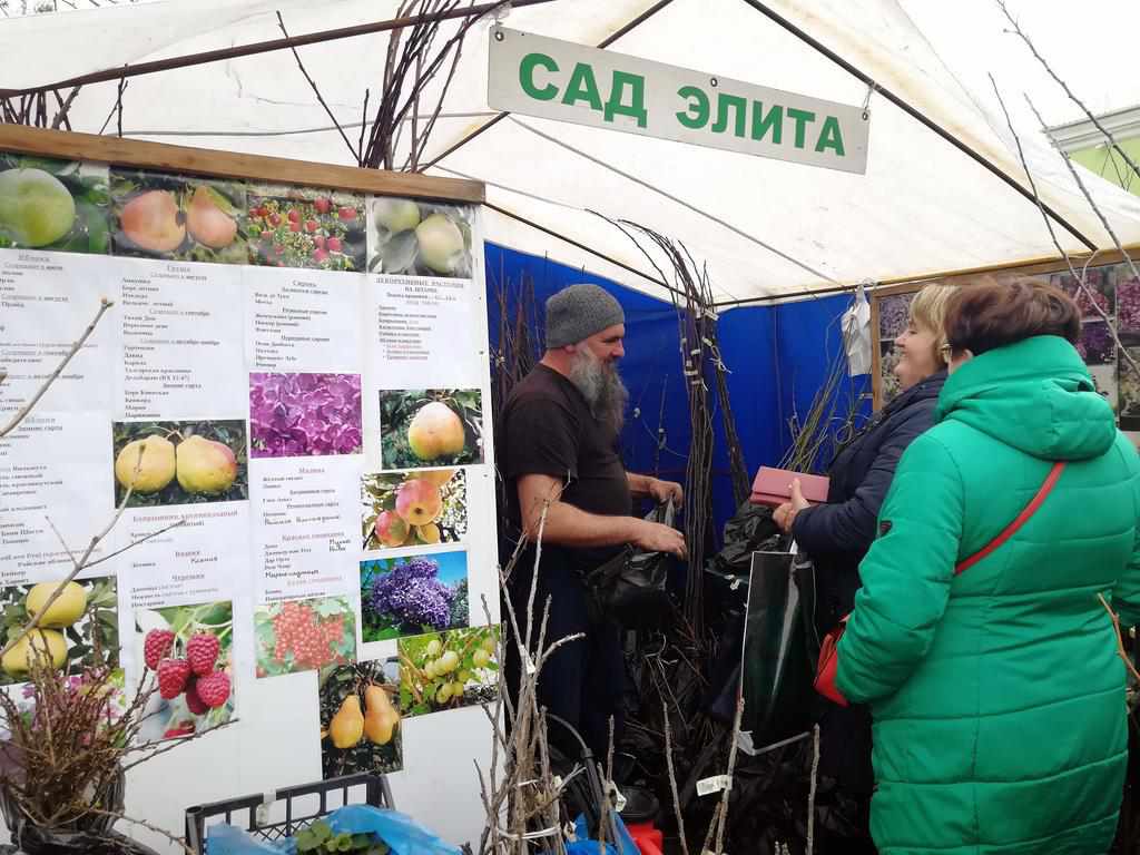 Що в Полтаві продають на ярмарку садово-городніх культур. ФОТО