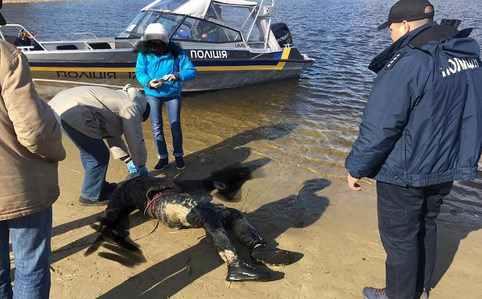 У Кременчуці під час пошуків затонулої дівчини виявили тіло чоловіка. ФОТО