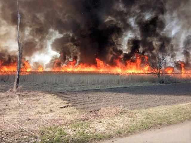 На Полтавщині горів національний парк «Нижньосульський», паліїв розшукують. ФОТО