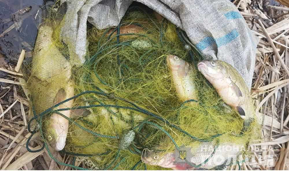 На Полтавщині браконьєри виловили риби на понад 27 тисяч гривень