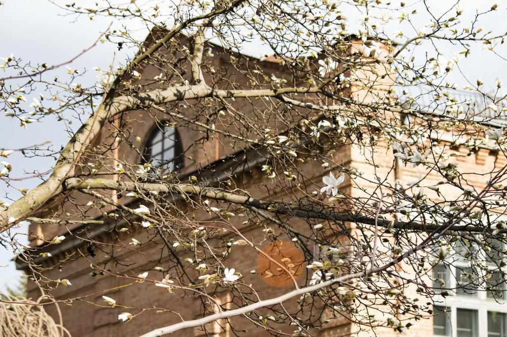 Що заплановано у Полтаві цими вихідними 13 - 14 квітня