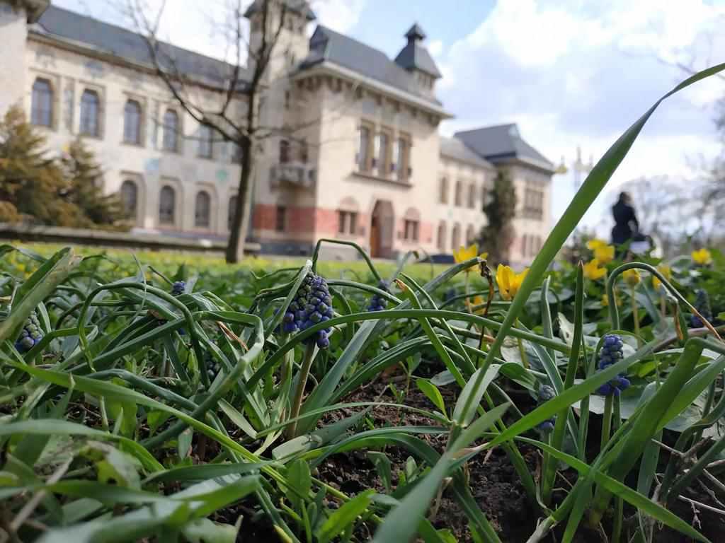 Що заплановано у Полтаві цими вихідними 20 - 21 квітня 2019 року