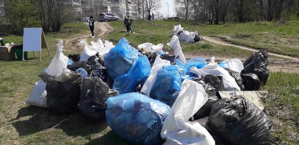 Полтавці організували толоку біля огнівських ставків. ФОТО