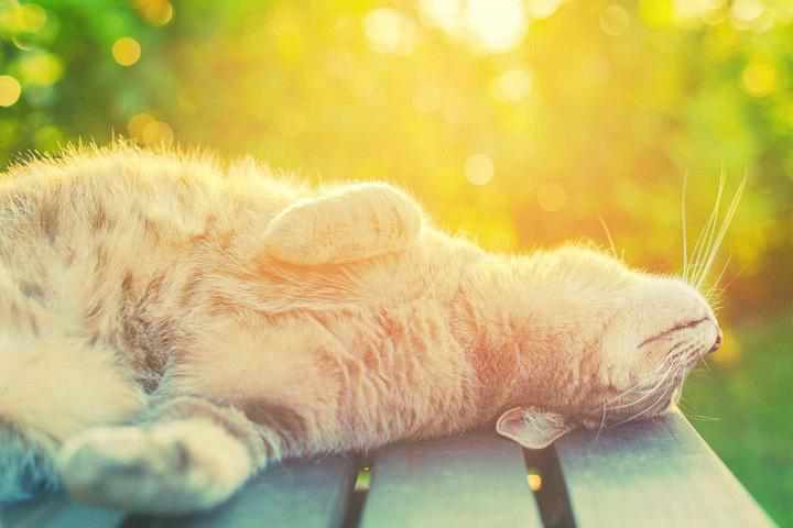 Травневі вихідні-2019: скільки відпочиватимуть українці та коли відпрацьовуватимуть