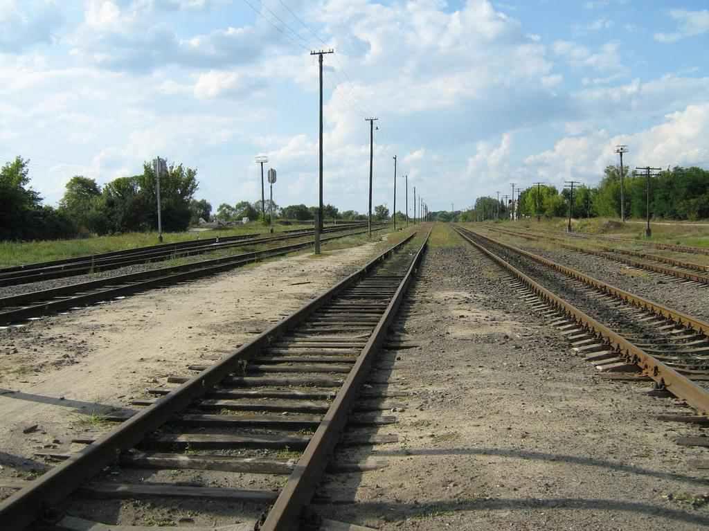 У Горішніх Плавнях семикласник загинув під потягом