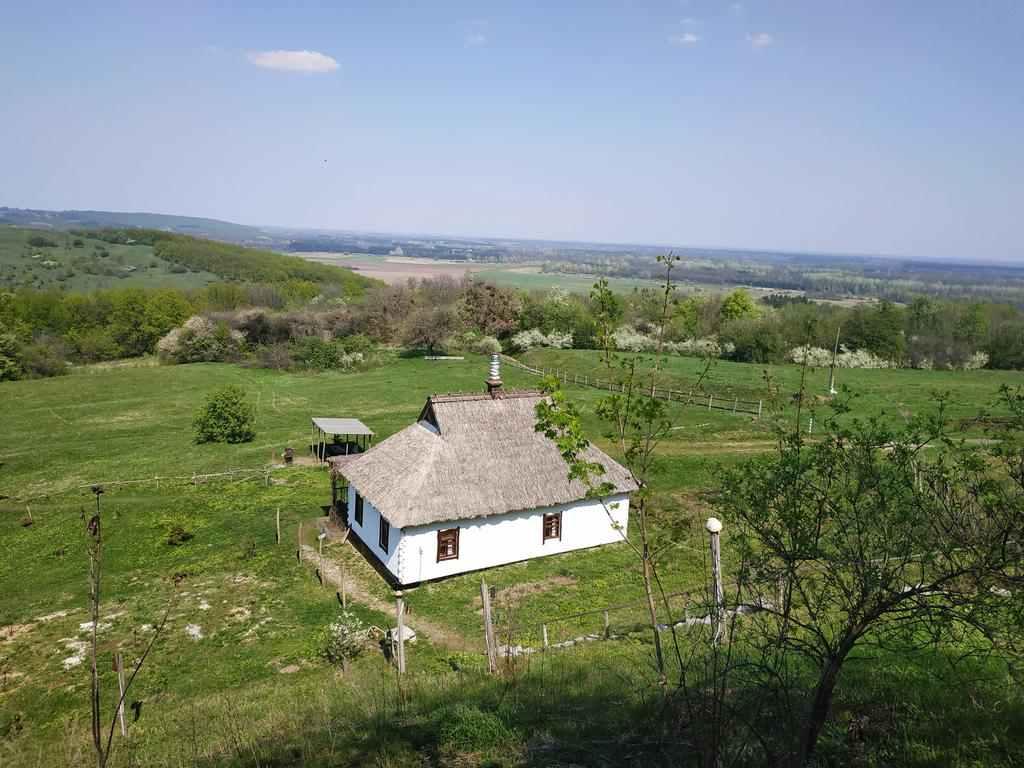 Хутір зеленого туризму, крафтова броварня, еко-ферма: як перетворити село на туристичний центр і заробити