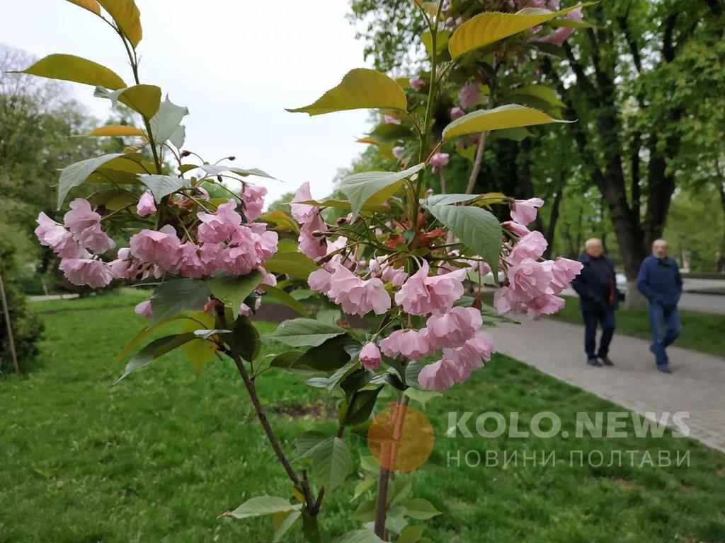 Що заплановано у Полтаві цими вихідними 11 - 12 травня 2019 року