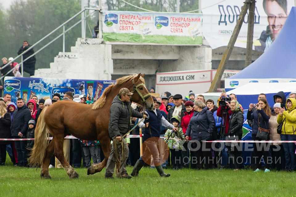 На Полтавщині відбулося кінноспортивне свято Dibrivka fest-2019