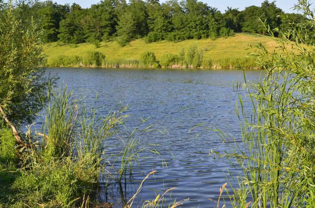 Державі повернули 10 га землі біля ставка на Полтавщині