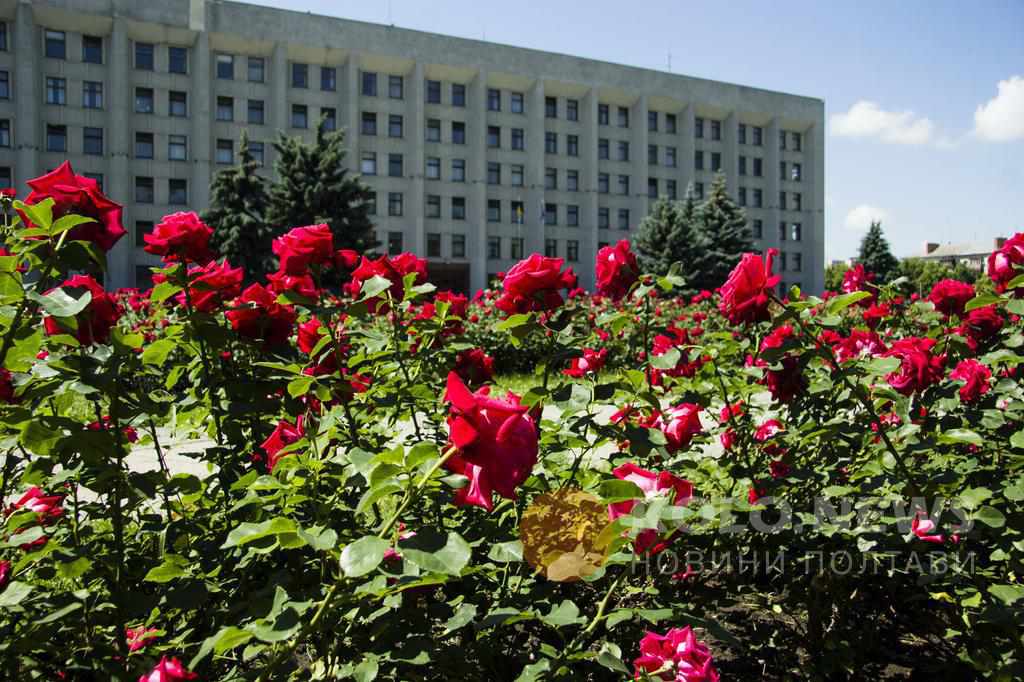 Суд залишив під арештом майно колишнього радника екс-голови Полтавської ОДА Головка