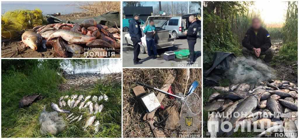 На Полтавщині браконьєри завдали збитків рибному господарству на близько 3,5 мільйона гривень