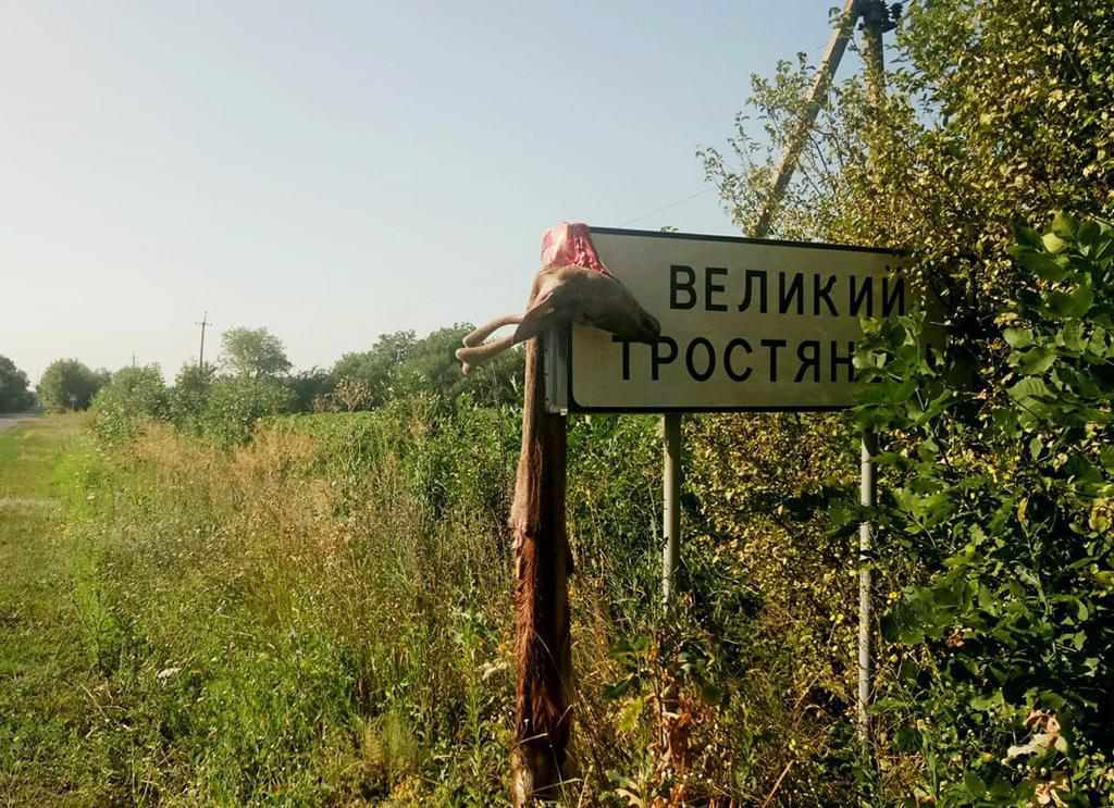 Опоненти агрофірми «Подоляка» вбили молодого оленя і залишили його труп біля Великого Тростянцю
