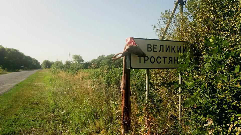 Під Полтавою вбили оленя та повісили голову тварини на в’їзді в село