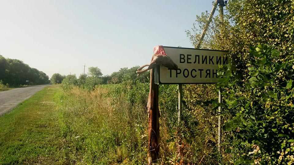 Під Полтавою  вбили оленя та повісили голову тварини на в’їзді в село