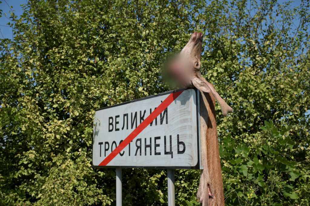 Браконьєрам, які вбили оленя й вивісили шкуру на дорожній знак біля Великого Тростянця, загрожує 80 тисяч гривень штрафу