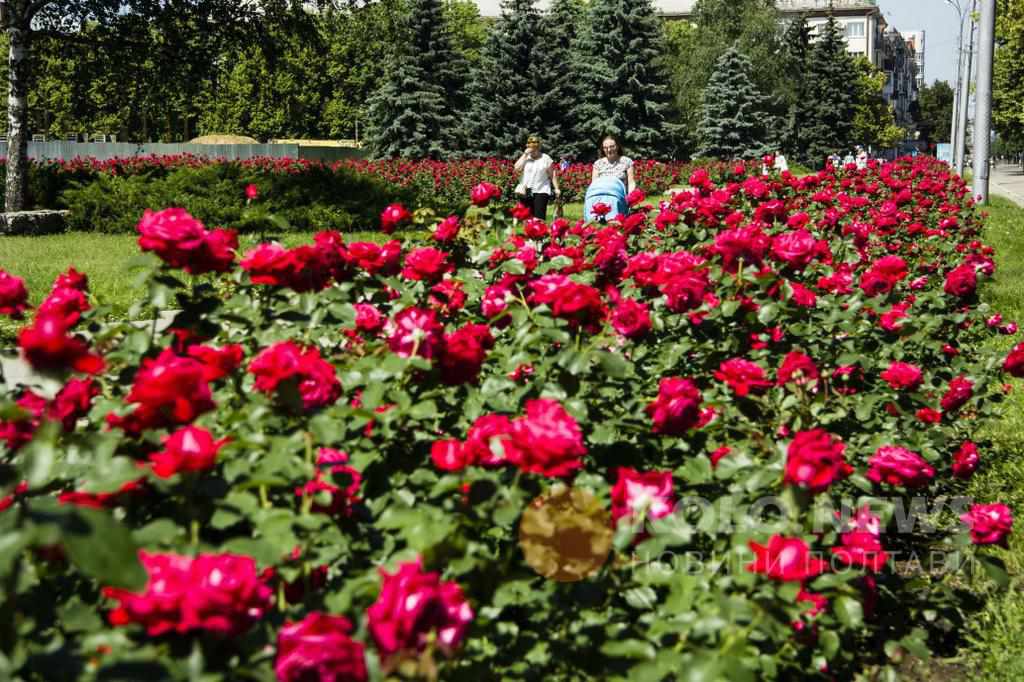 Що заплановано у Полтаві цими вихідними 27 - 28 липня