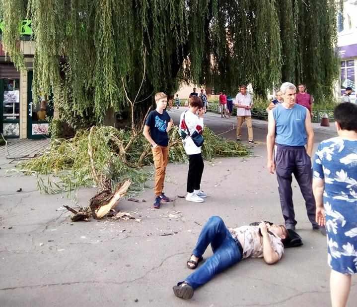 У Полтаві гілка впала на людину. ФОТО. ОНОВЛЕНО