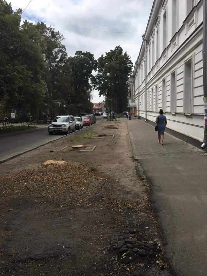 Чому спиляли клени біля школи в центрі Полтави. ФОТО