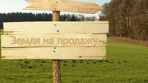 Цінність паю: за скільки продають підмораторні землі на Полтавщині