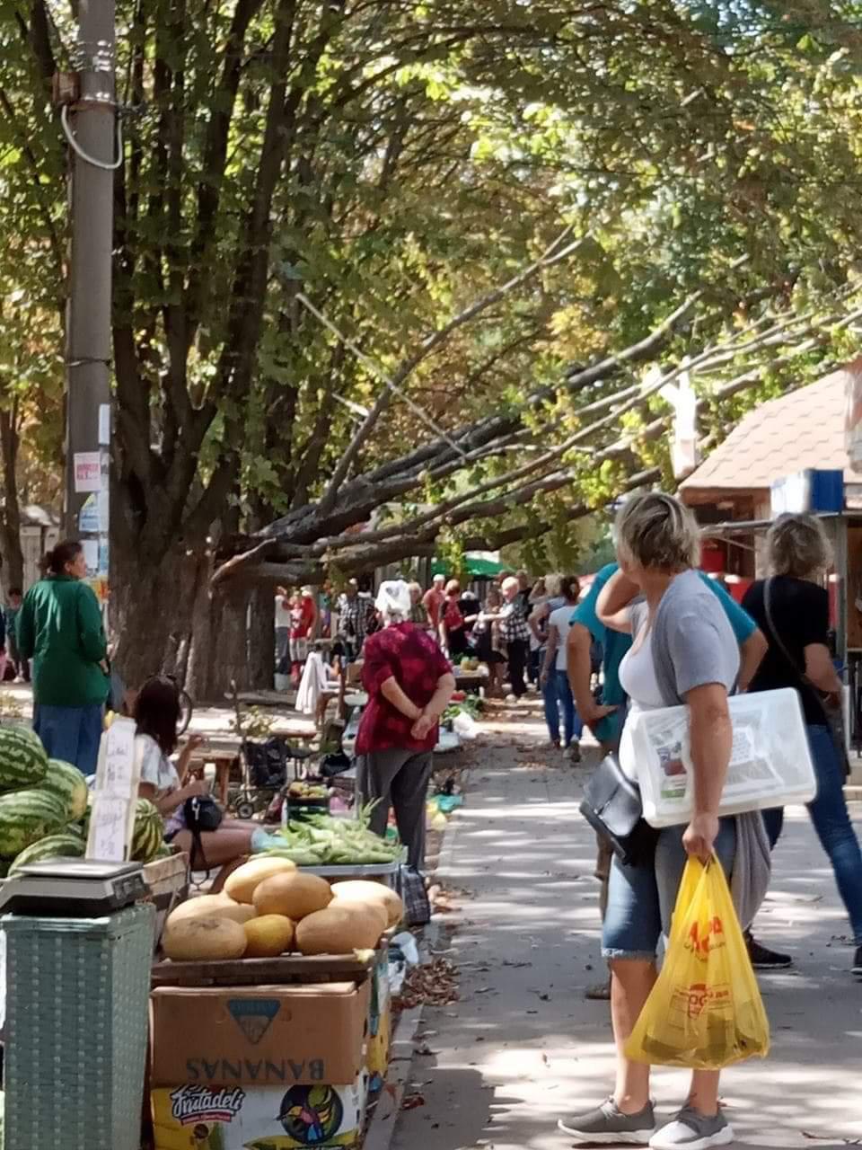 У Полтаві на ринку впало дерево, біля зупинки - гілки. ФОТО