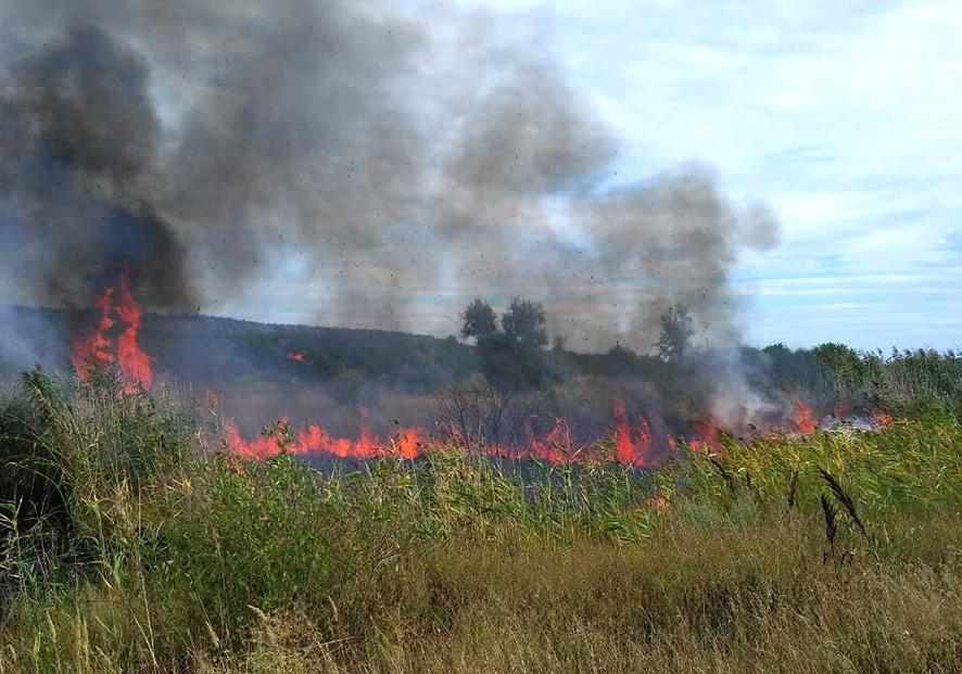 Пожежі на Полтавщині: за добу згоріли 30 гектарів сухої трави та 15 тонн сіна