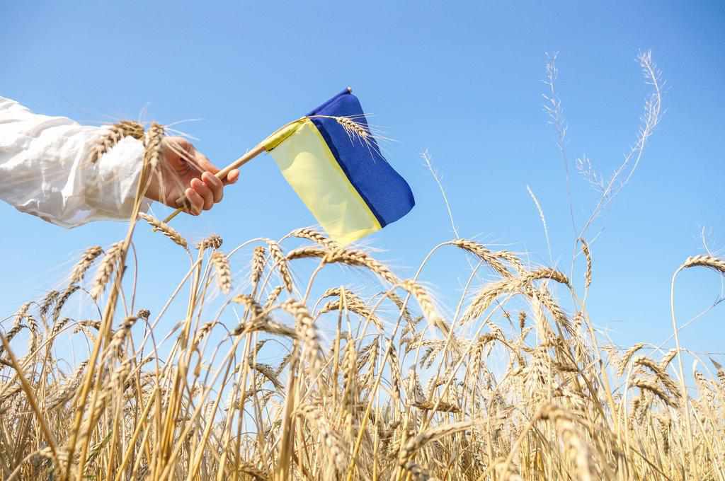 На Полтавщині готуються відзначити День Незалежності й День державного прапора України