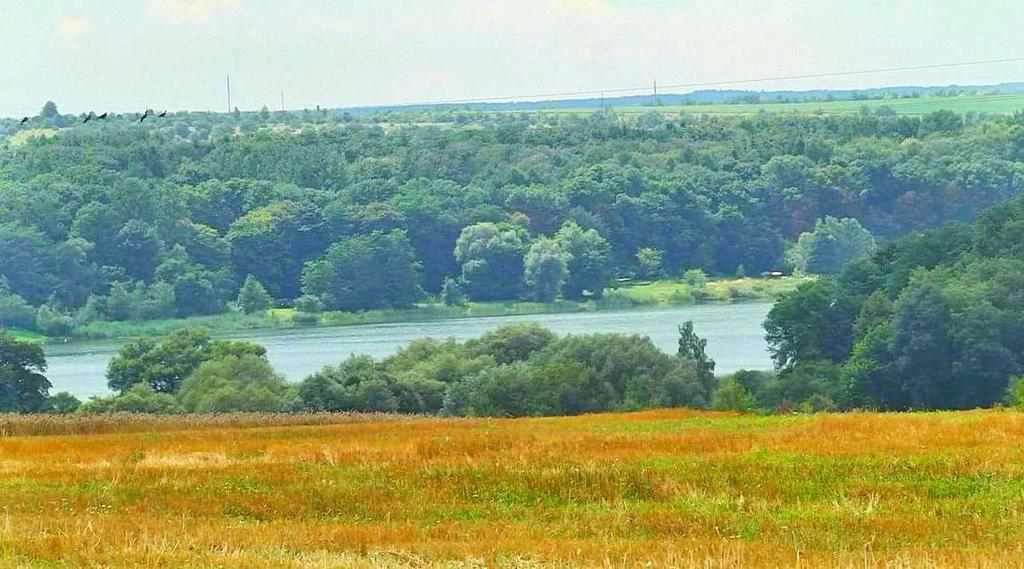 Чоловіку незаконно віддали землю на березі озера на Полтавщині вартістю 100 тис. грн