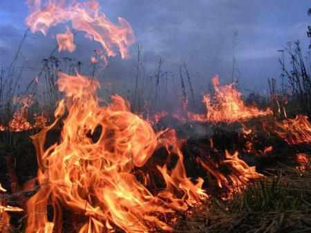 На Полтавщині чоловік отримав опіки, спалюючи траву