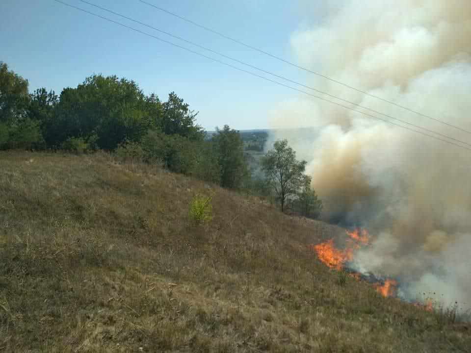 На Полтавщині горить яр: вогонь підбирається до осель та школи