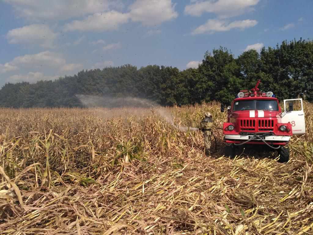 У Полтавському районі загорілося поле кукурудзи: вигоріло 20 га