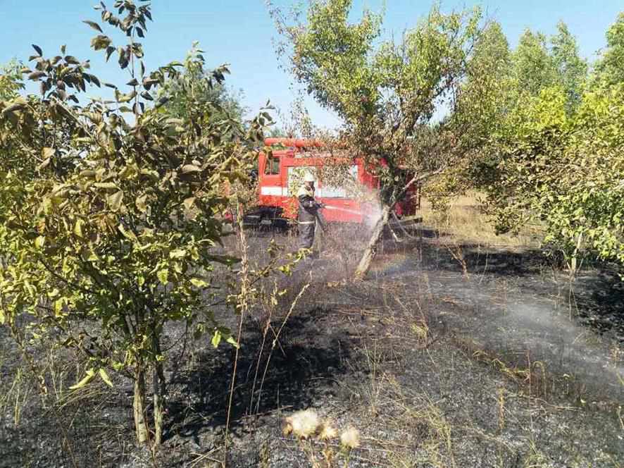 У селі на Полтавщині в пожежі загинув чоловік: вогонь перекинувся до сусідів і на суху траву