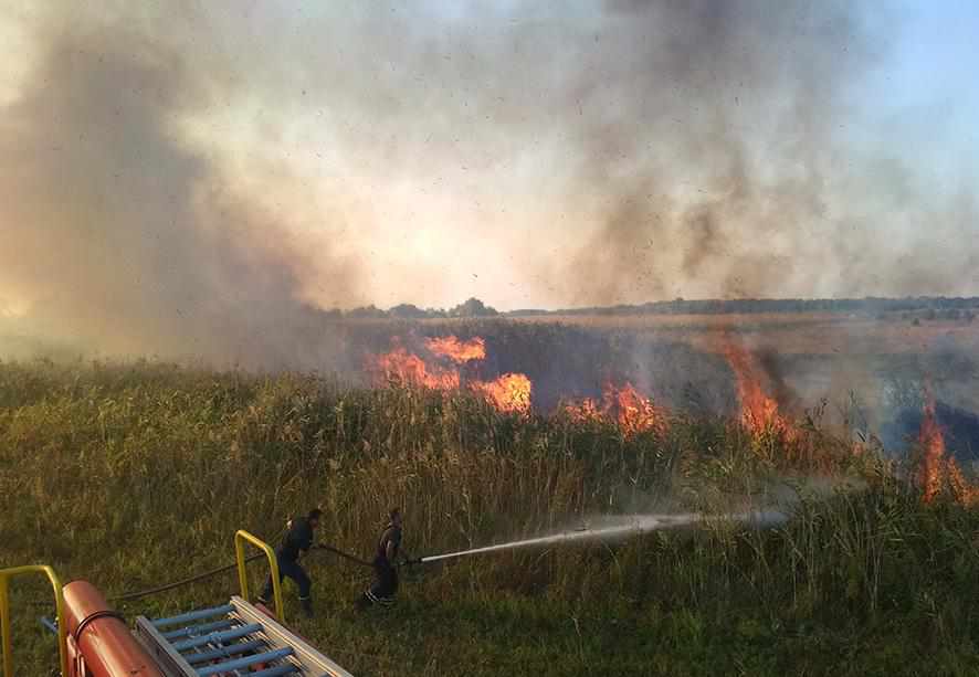 За рік у пожежах сухої трави на Полтавщині загинуло 5 людей: учора тіло знайшли на згарищі під Полтавою