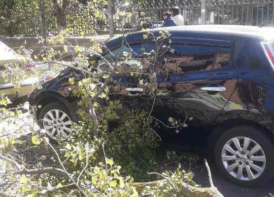 У центрі Полтави гілка впала на припарковане авто з пасажирами