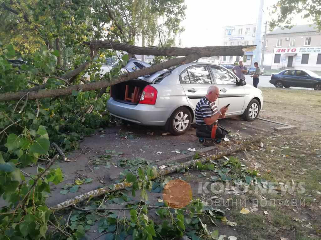 Полтавцю, чиє авто розчавило дерево біля АТБ, потрібна допомога 