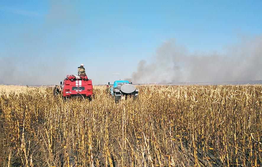 На Полтавщині згоріло 60 гектарів кукурудзи