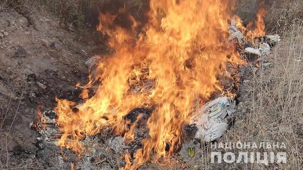 Коноплю, канабіс, мак – на Полтавщині спалили наркотиків на суму понад півтори мільйони гривень