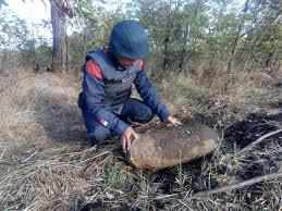 На Полтавщині в лісі знайшли арсенал зброї часів Другої світової війни
