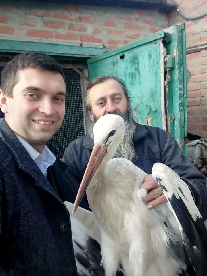 На Полтавщині лелека знайшов притулок у монастирі