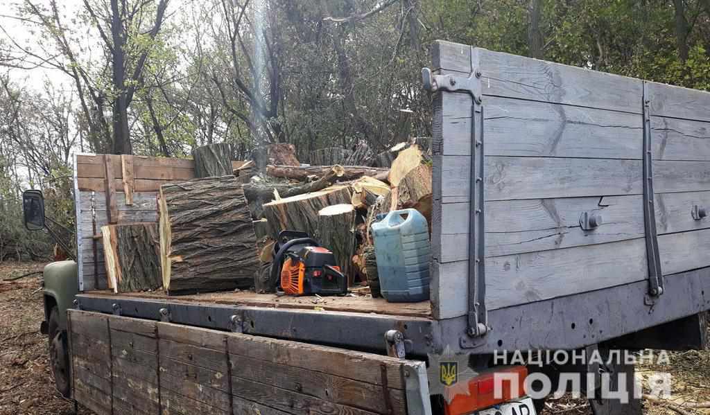 На Полтавщині іноземець незаконно рубав ліс