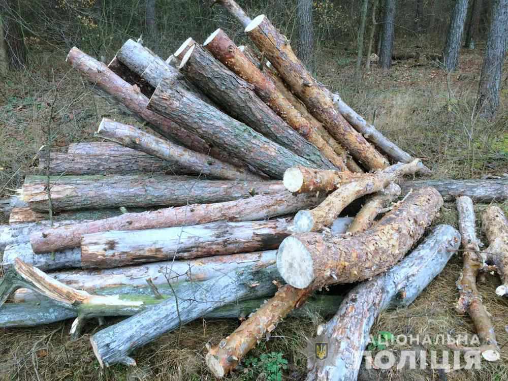 На Полтавщині затримали осіб, які не законно вирубували дерева