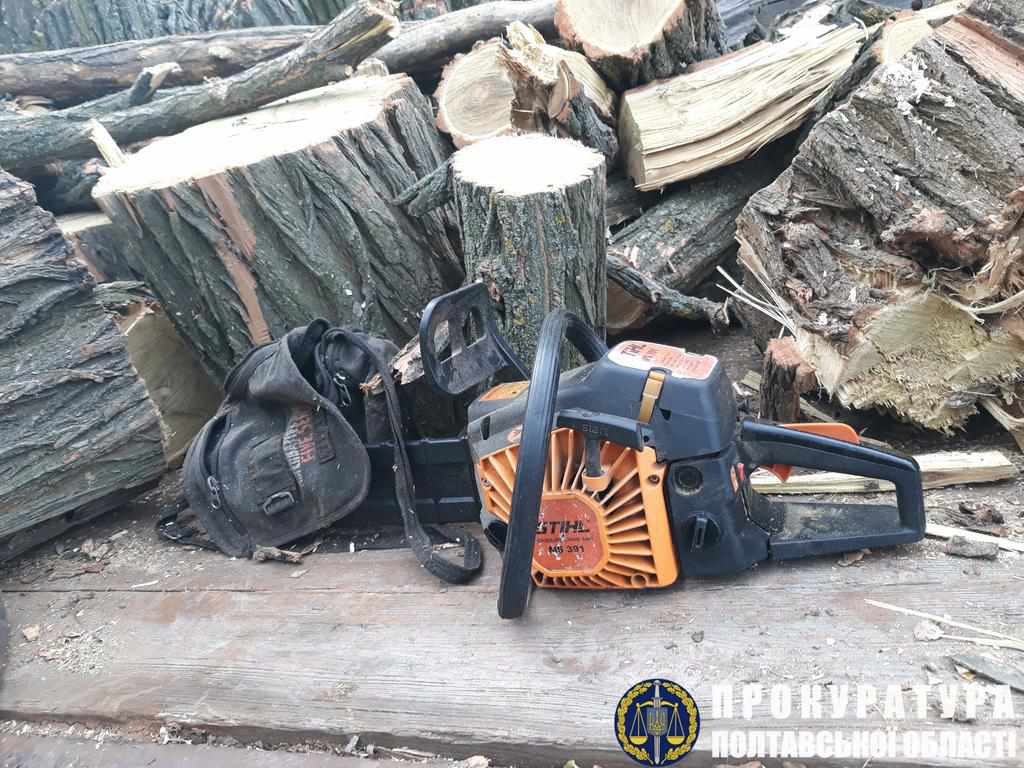 На Полтавщині чоловік незаконним вирубуванням дерев завдав державі шкоди на 53 тисячі гривень