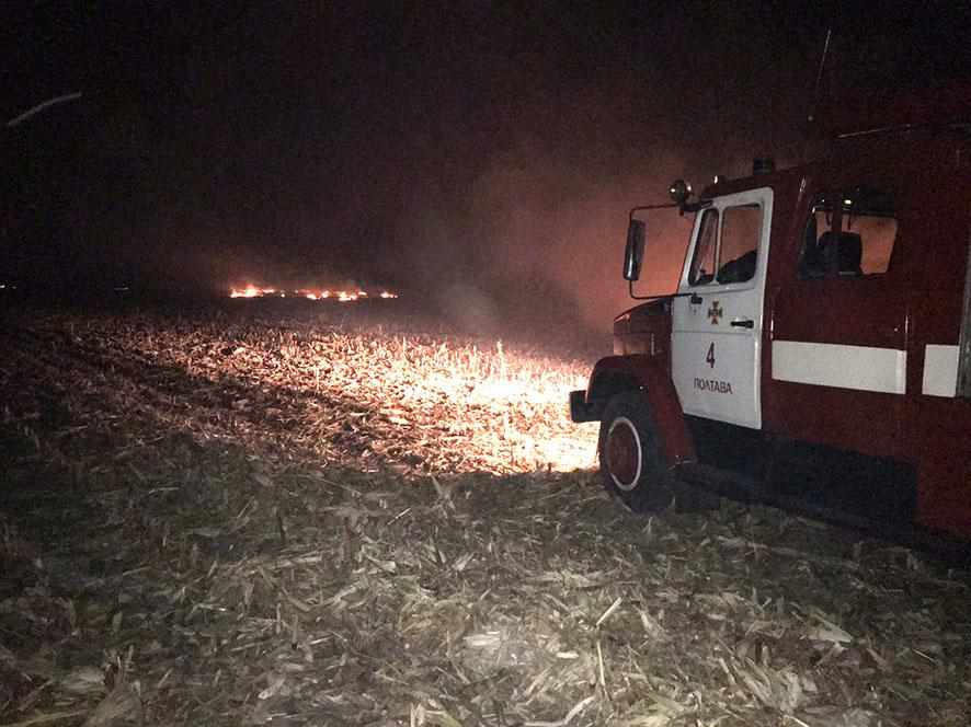 На Полтавщині зайнялося 10 гектарів пожнивних залишків кукурудзи