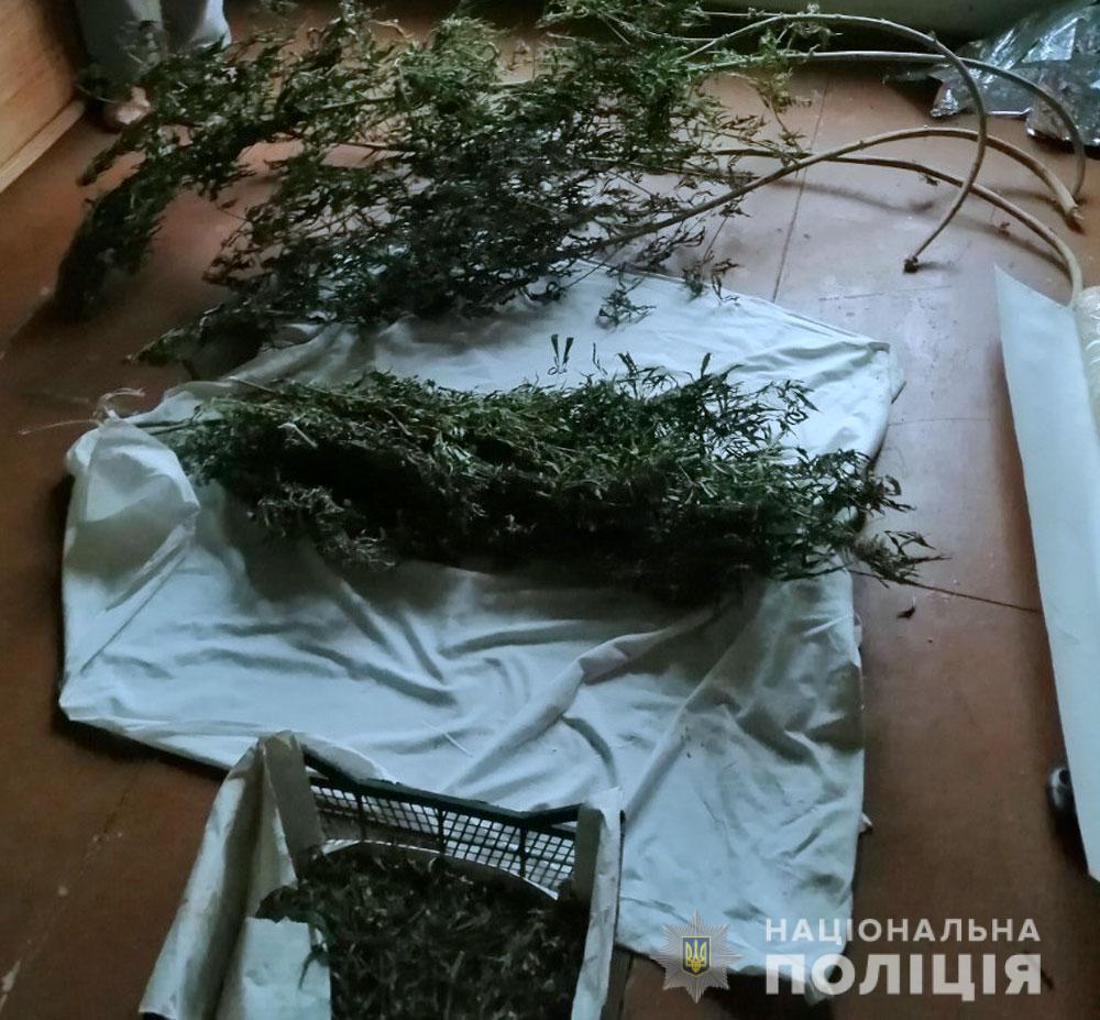 На Полтавщині  у кількох районах вилучили наркотики